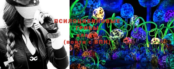 твердый Ладушкин