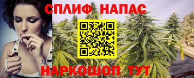 молекула духа Ставрополь