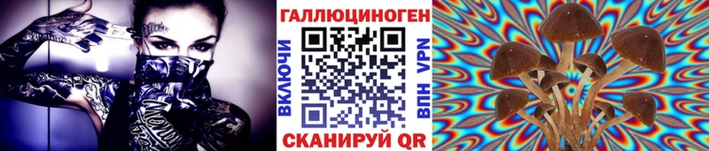 Галлюциногенные грибы GOLDEN TEACHER  Моршанск 