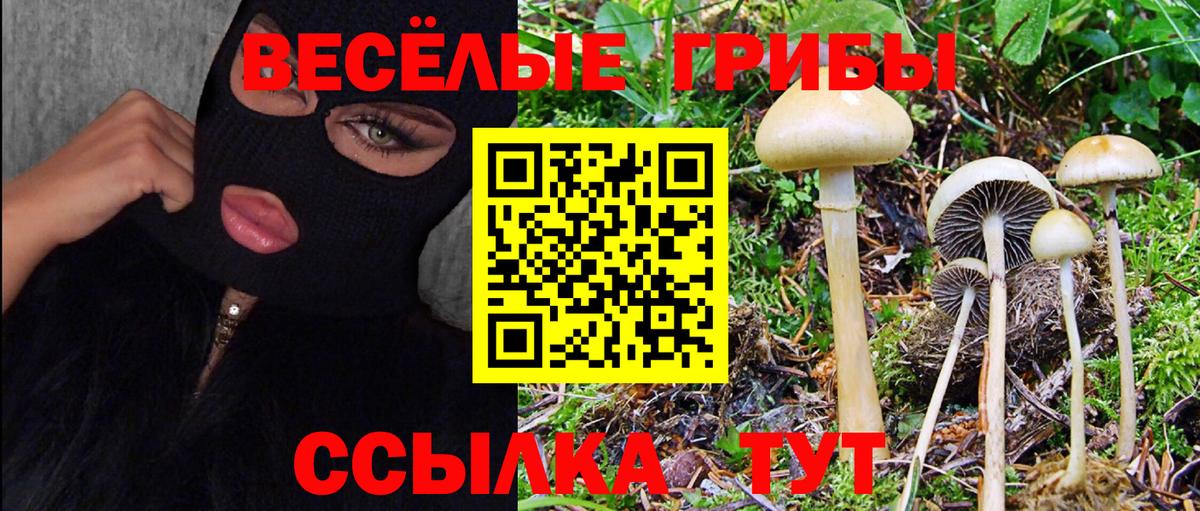 Псилоцибиновые грибы прущие грибы Моршанск
