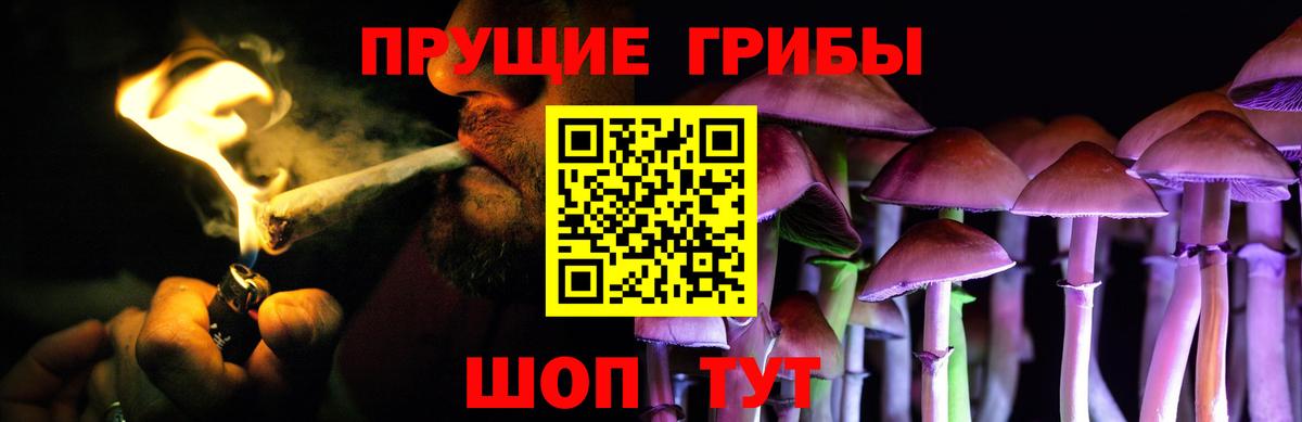 Псилоцибиновые грибы мицелий  Псилоцибиновые грибы Psilocybe  Вход с VPN  Моршанск 