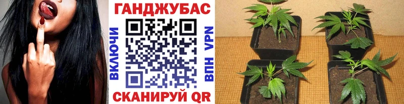 купить наркоту  Моршанск  Бошки Шишки White Widow 